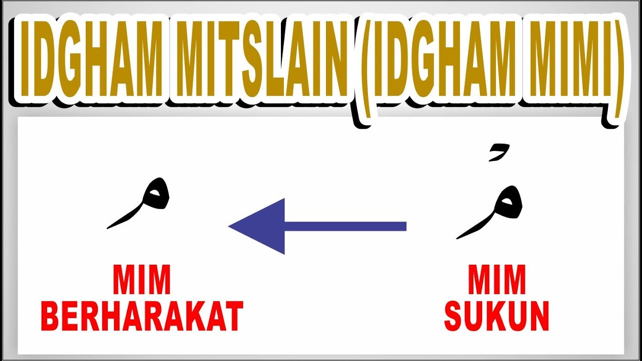 IDGHAM MITSLAIN (IDGHAM MIMI) - MIM SUKUN BERTEMU MIM BERHARAKAT || HUKUM MIM SUKUN