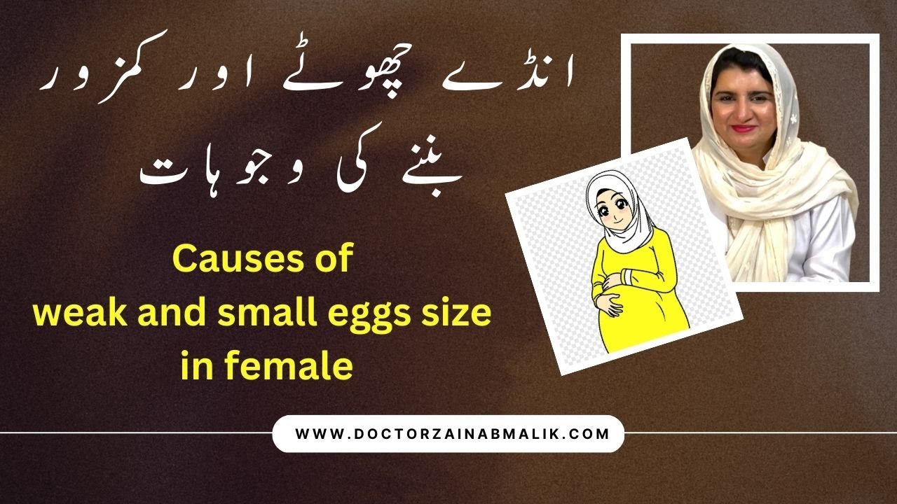 Causes of weak and small eggs Size in femal | Poor Quality Eggs Treatment by Doctor Zainab Malik
