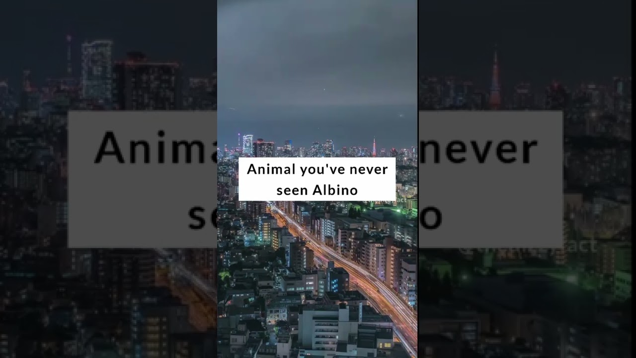 Animals you have never seen Albino 😱