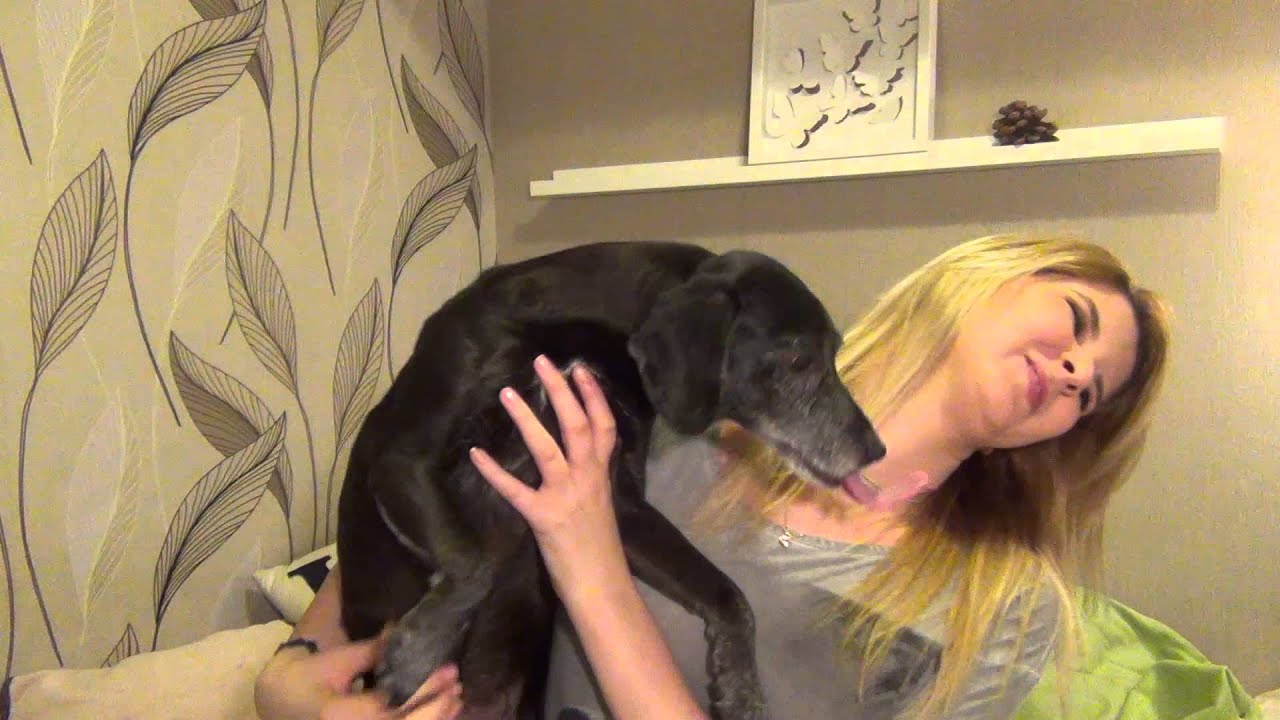 ♡♡♡ BLOOPERS ♡♡♡ MojPsiSwiat