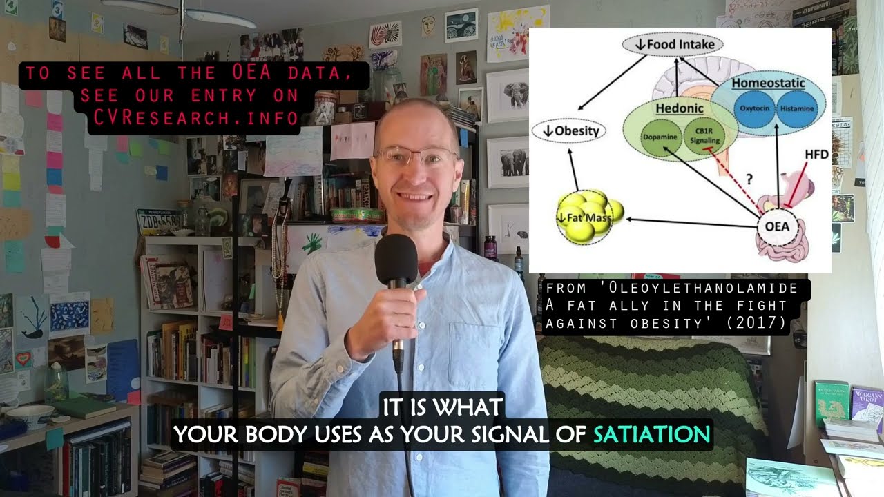 Oleoylethanolamide: the anti-hunger endocannabinoid