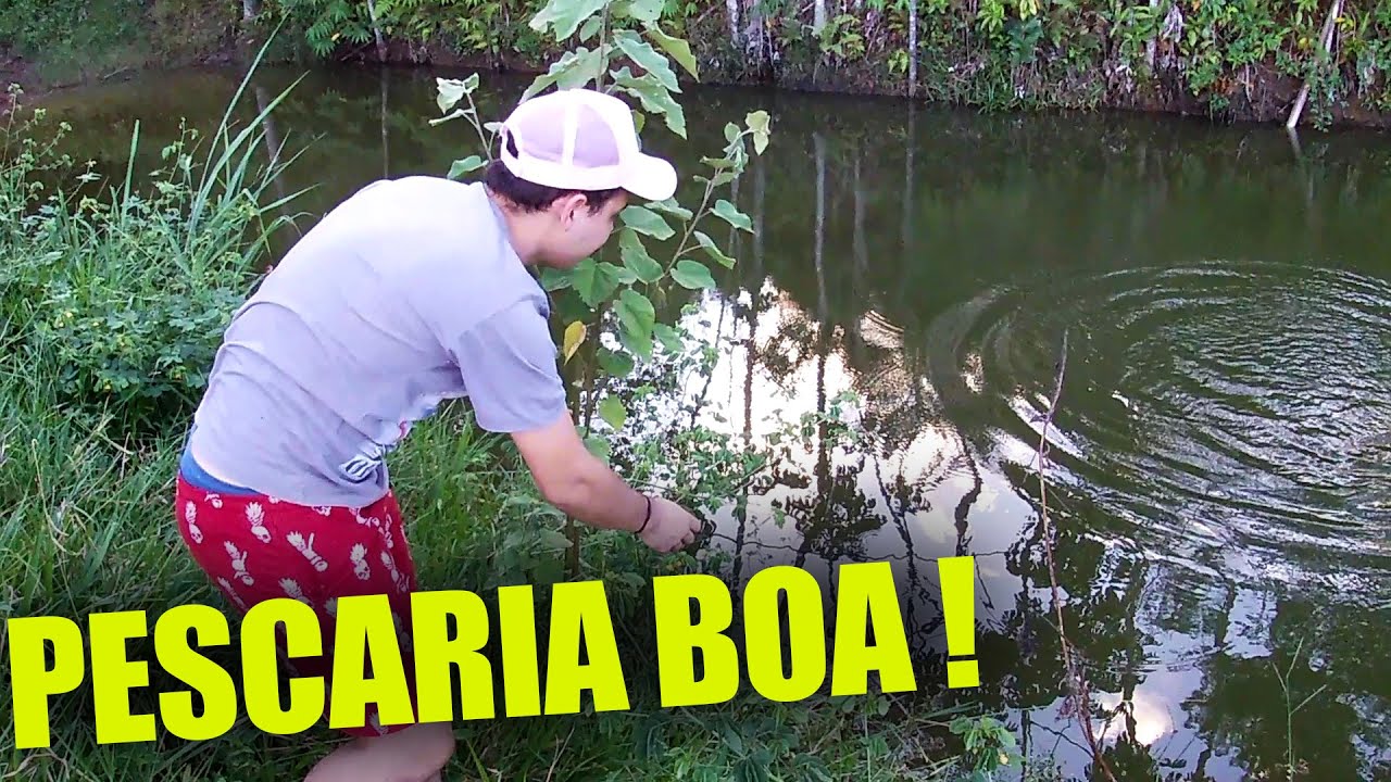 FOMOS PRA RO&Ccedil;A PESCAR E BEBER CERVEJA - DZ7 PRODU&Ccedil;&Otilde;ES