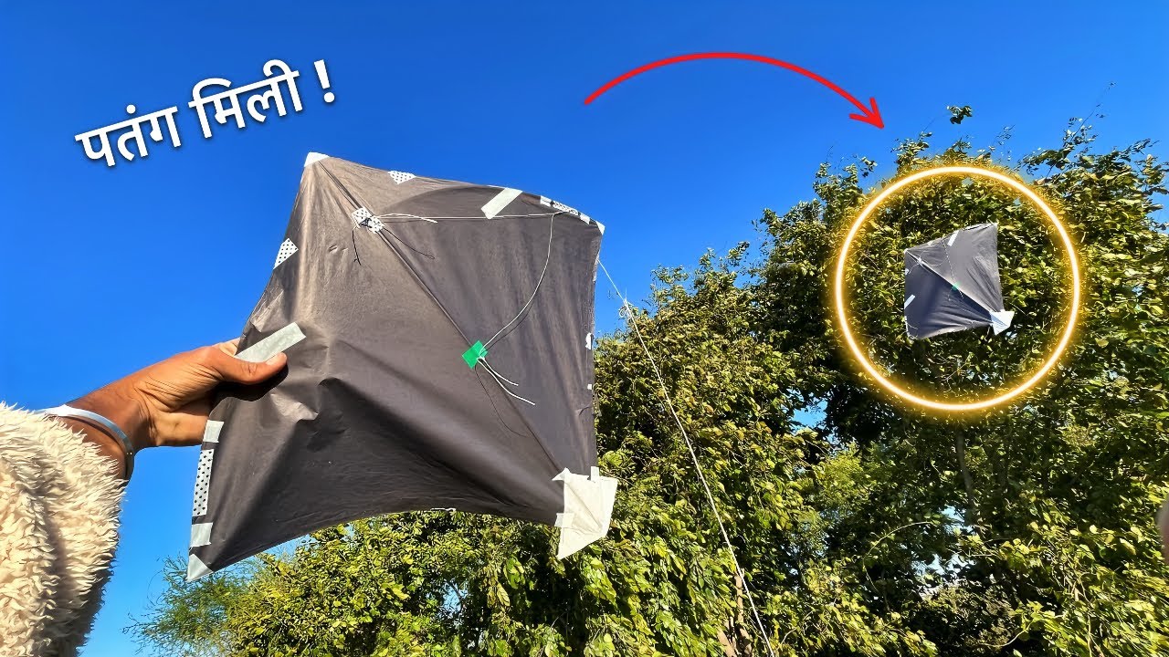 CAUGHT KITE At TREES * पतंग मिली ! * Big Kites | Catching Kite #caughtkite