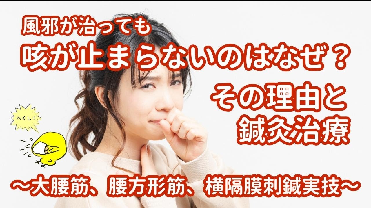 風邪が治っても咳が止まらないのは何故？その理由と鍼灸治療～大腰筋、腰方形筋、横隔膜刺鍼実技～