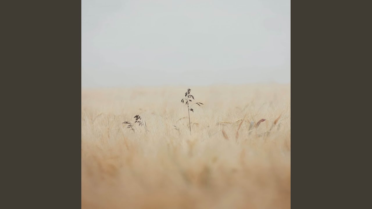 Hollow horses
