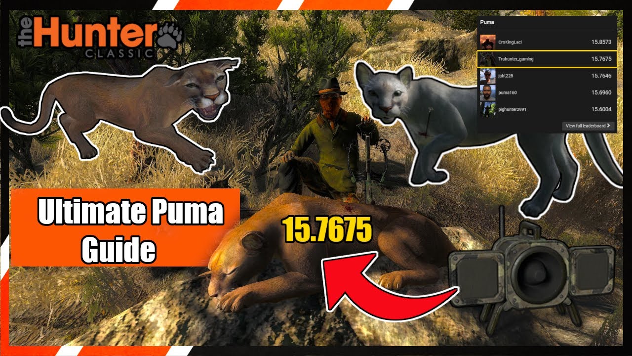 I'm One Step Away From Becoming the #1 Puma Hunter in theHunter Classic!
