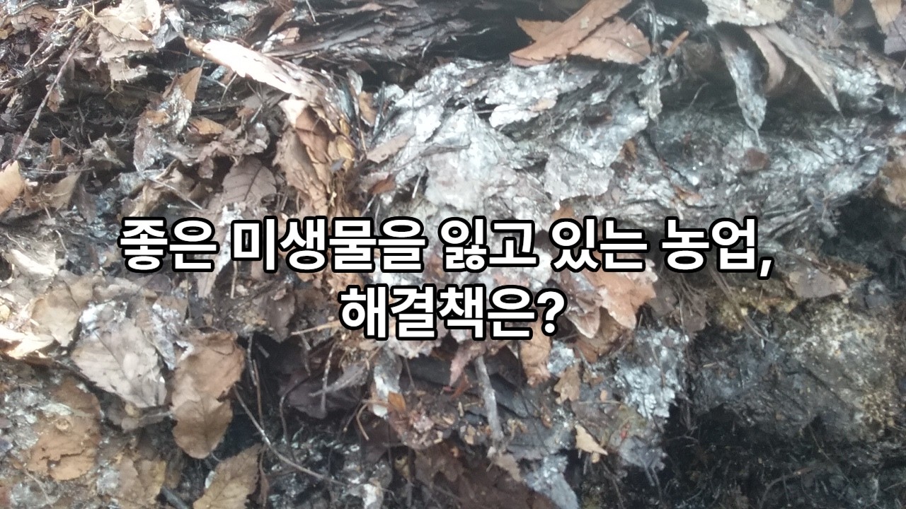 미생물 만드는 농업 연구원 [이장집 에너지 농법] 787.