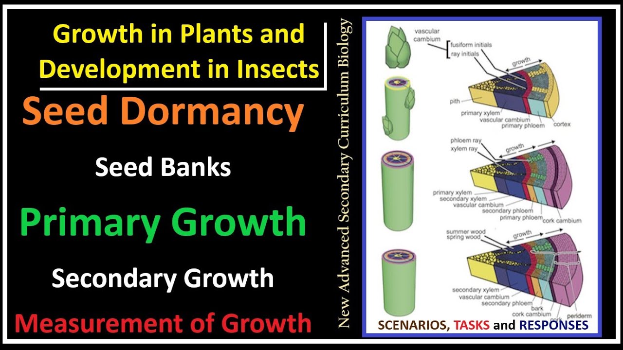 Growth And Development-1-Seed Dormancy, Seed Banks, Factors Affecting Primary and secondary Growth