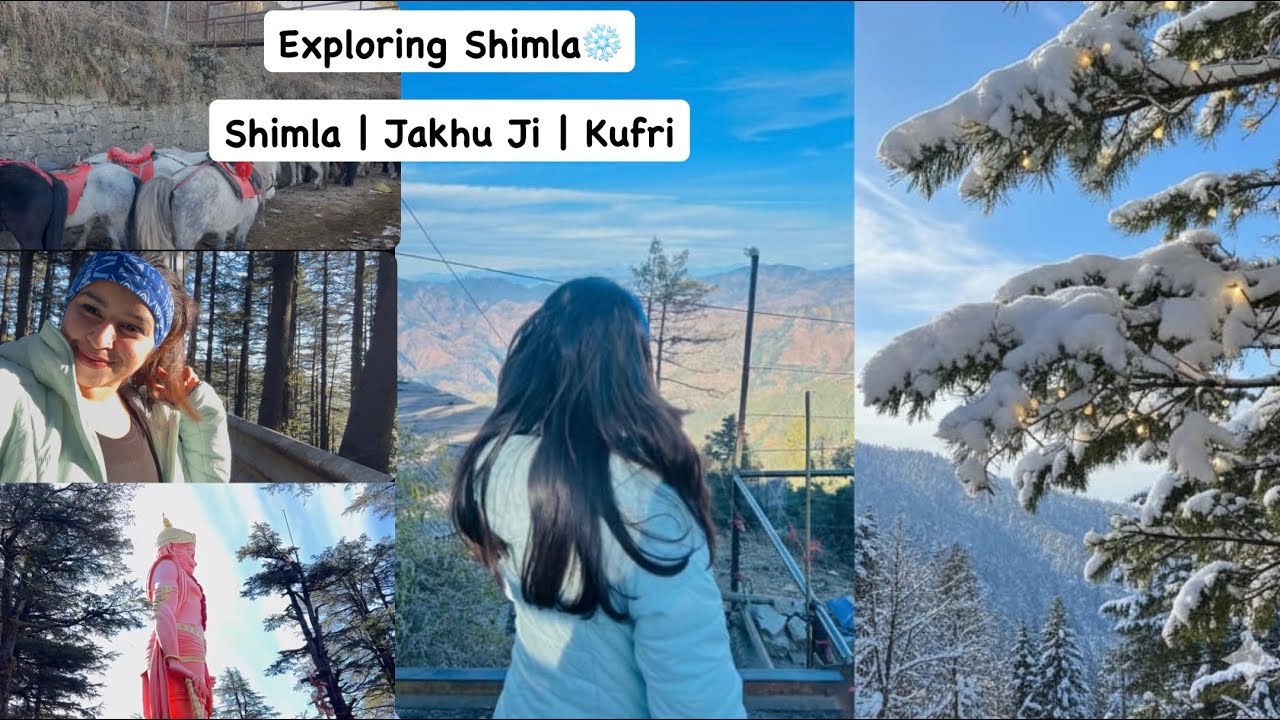 Shimla Day Vlog ❄️ | Exploring Jakhu Ji & Kufri #Shimla#ShimlaVlog#jakhutemple #kufri#yt #vlogs#vlog