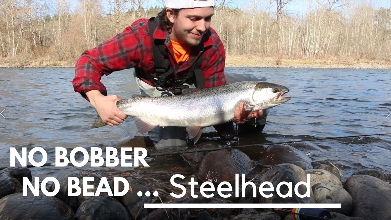 Your Local Oregon Angler |Bank Fishing for Clackamas River Steelhead| Fish on! (day 12)
