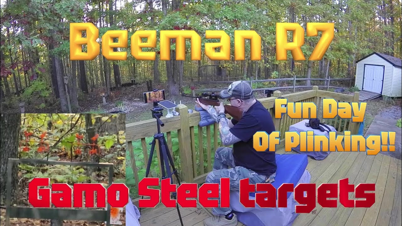 Beeman R7 gamo steel targets fun day of plinking!!#beemanr7 #gamo