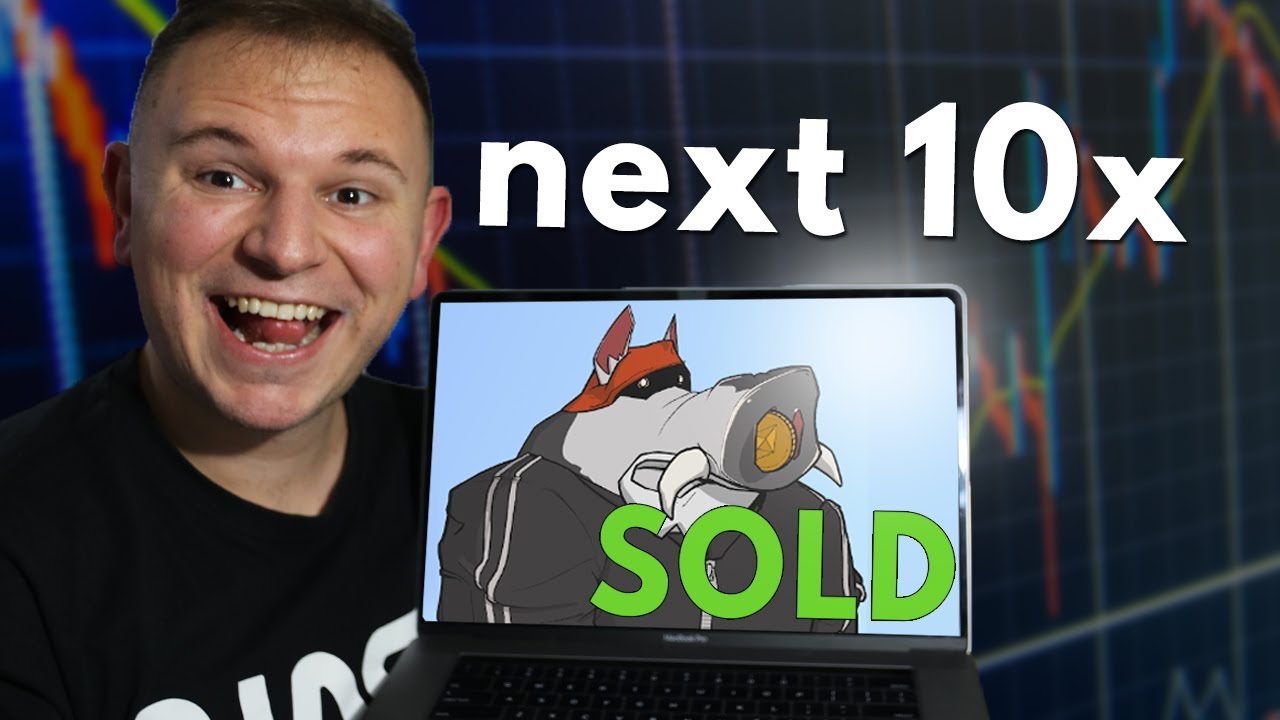 Следующий NFT-квест будет в 10 раз эффективнее с игрой и разведением | Angry Boars NFT