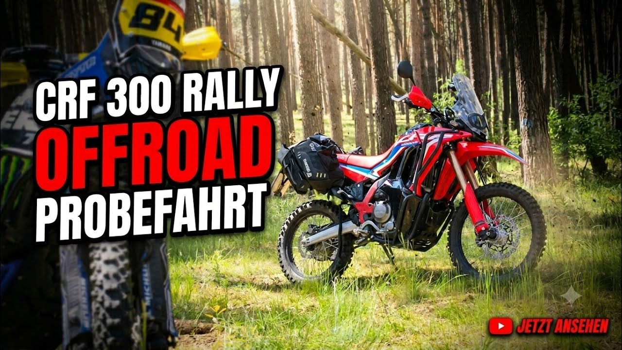 CRF 300 Rally 🏁 reichen 27ps f&uuml;r richtigen Spa&szlig; Offroad? 