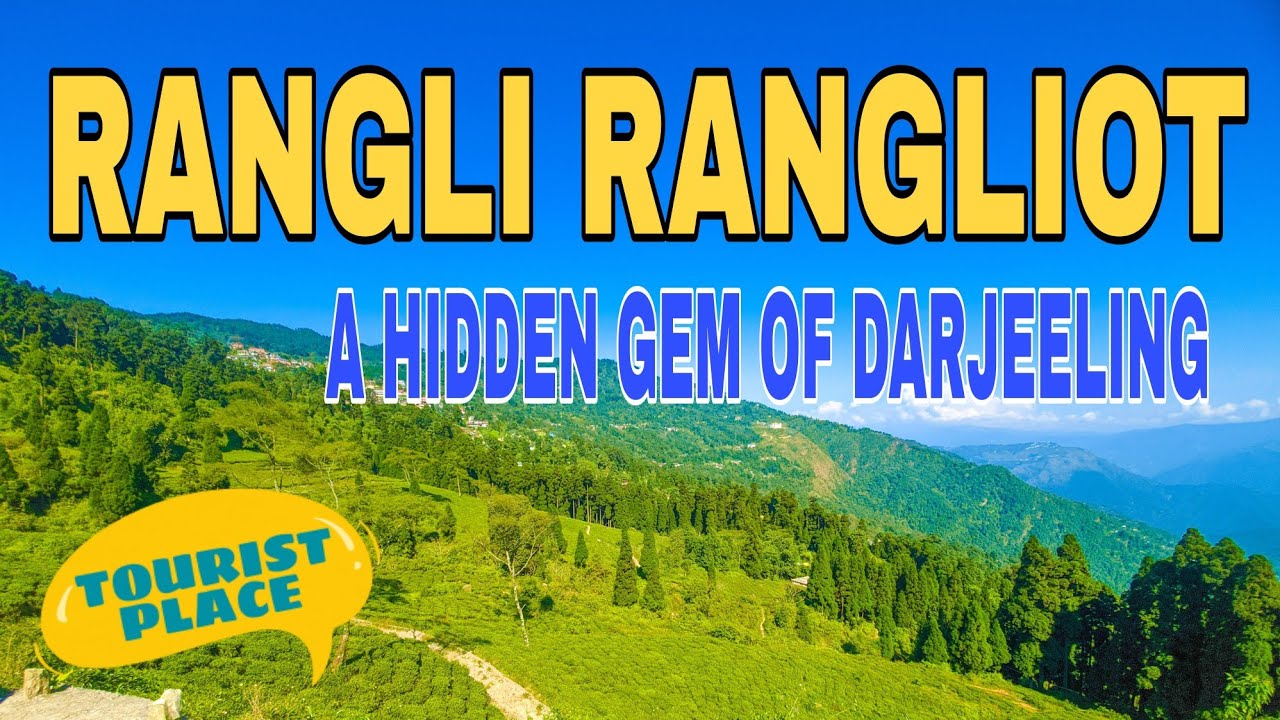 Rangli Rangliot Tea Garden|Near Takdah|Darjeeling| @wanderwithsuryaa #viralvideo #rangli #darjeeling