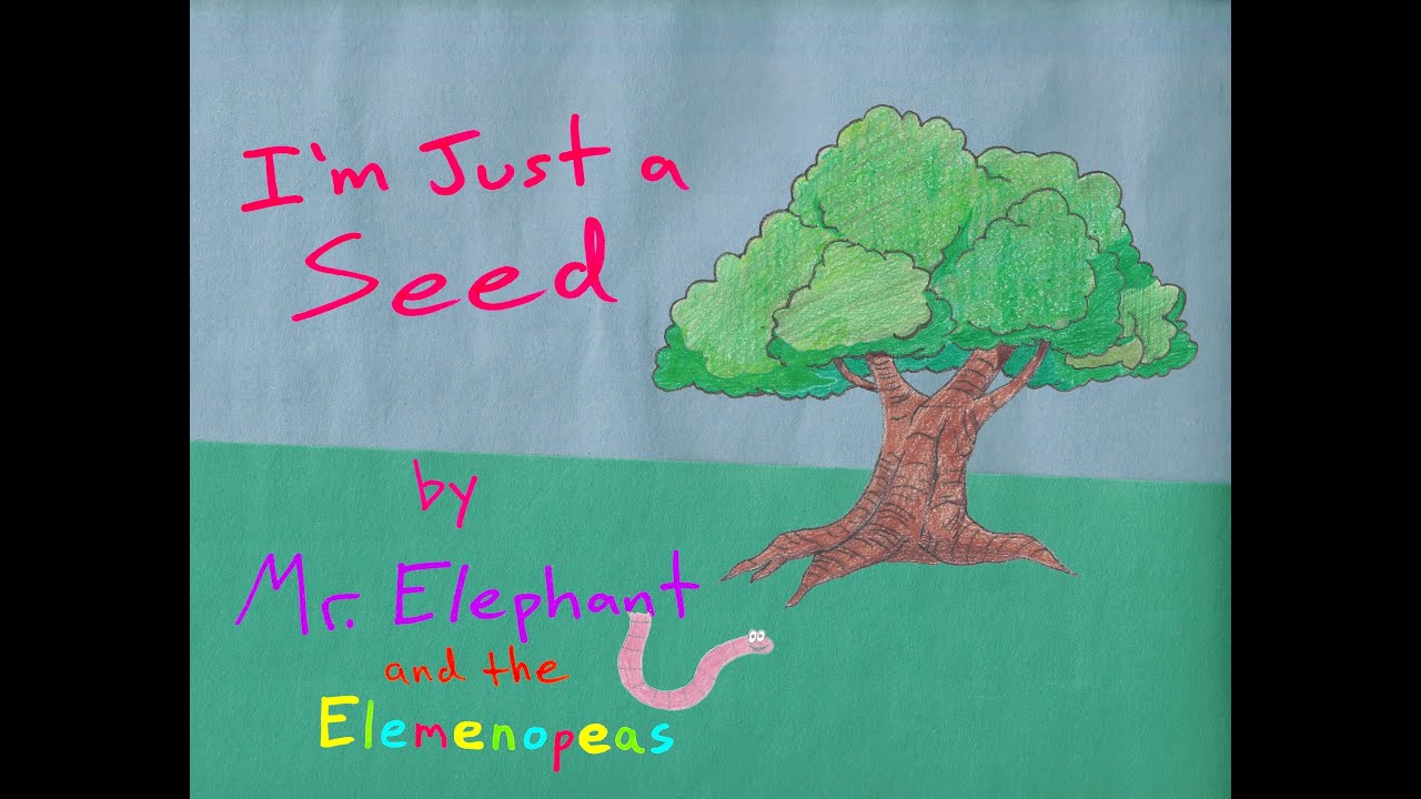 I'm Just a Seed | Mr. Elephant | Family Music | Stop Motion Animation |