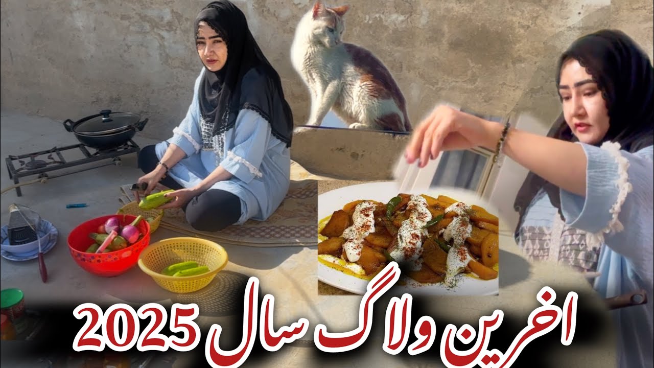 خدا حافظی از سال 2025با یک ولاگ قشنگ و زیبا ٫هر سال میگذرد ولی خاطراتش میماند 🥰