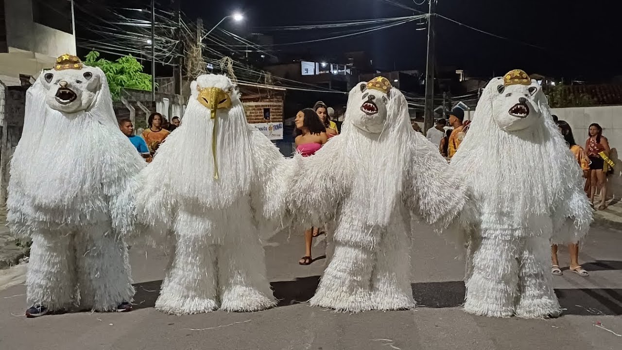 URSO GAVIÃO 09/03/2024