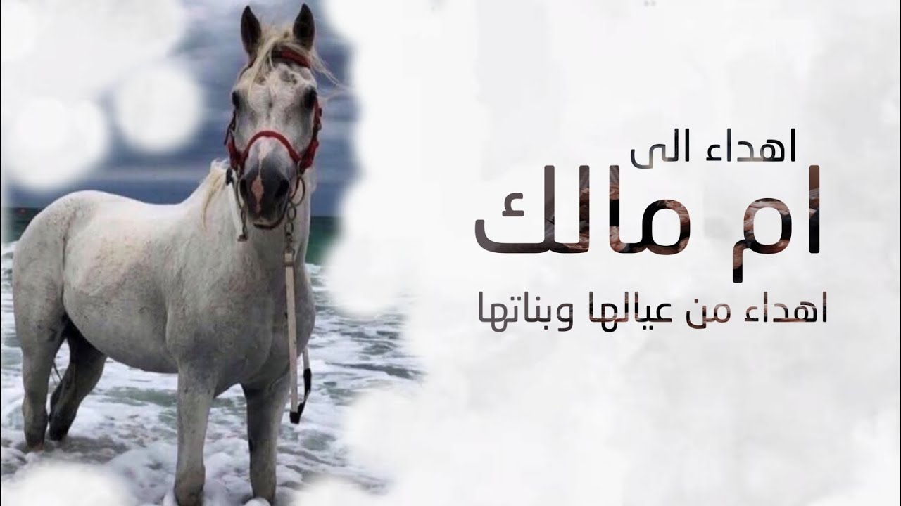 شيلة باسم ام مالك جديد ام مالك اللي فرقها فرق السماء اهداء من عيالها شيلة مدح لام مالك