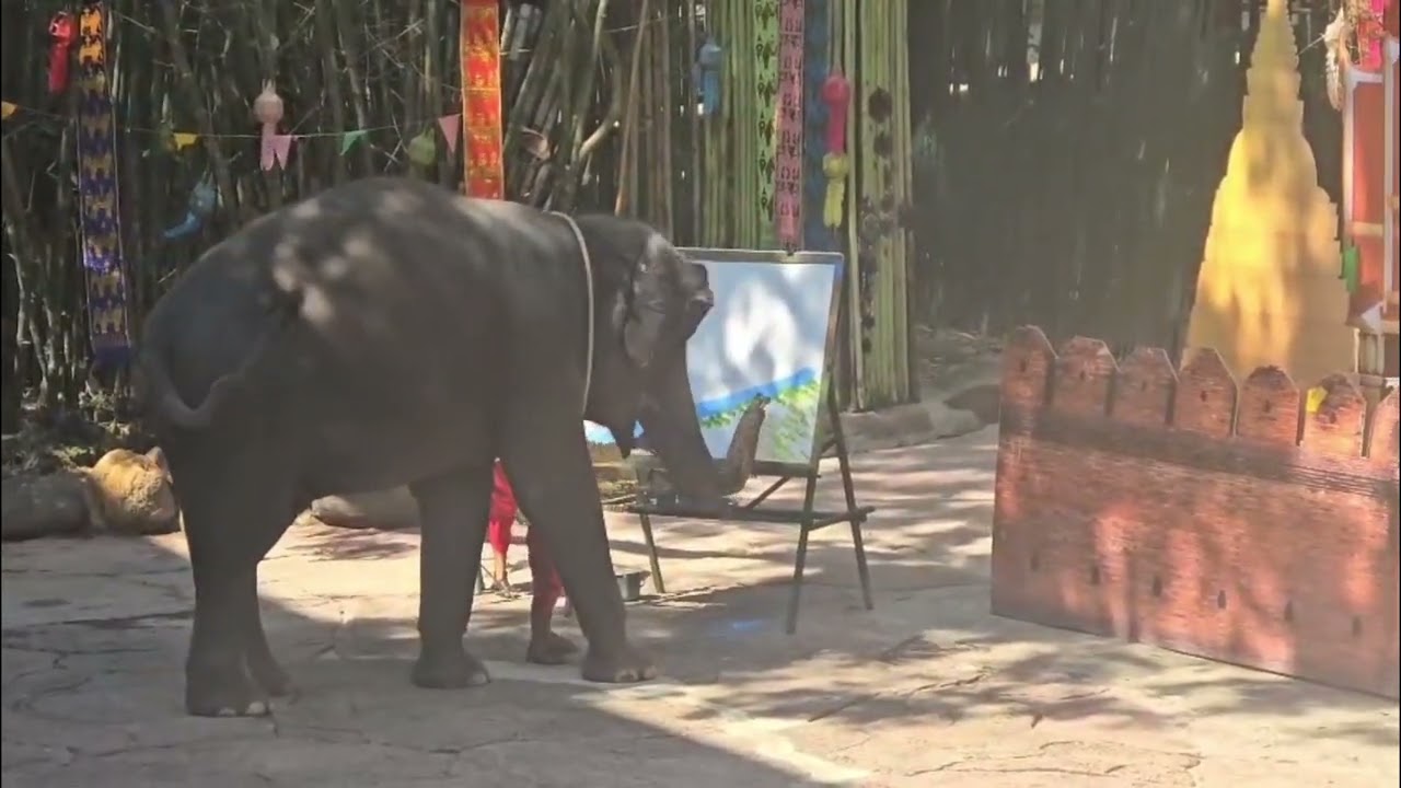 #tourist.Thailand'26.