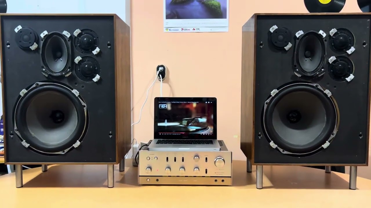 Bang & Olufsen Beovox 5000
