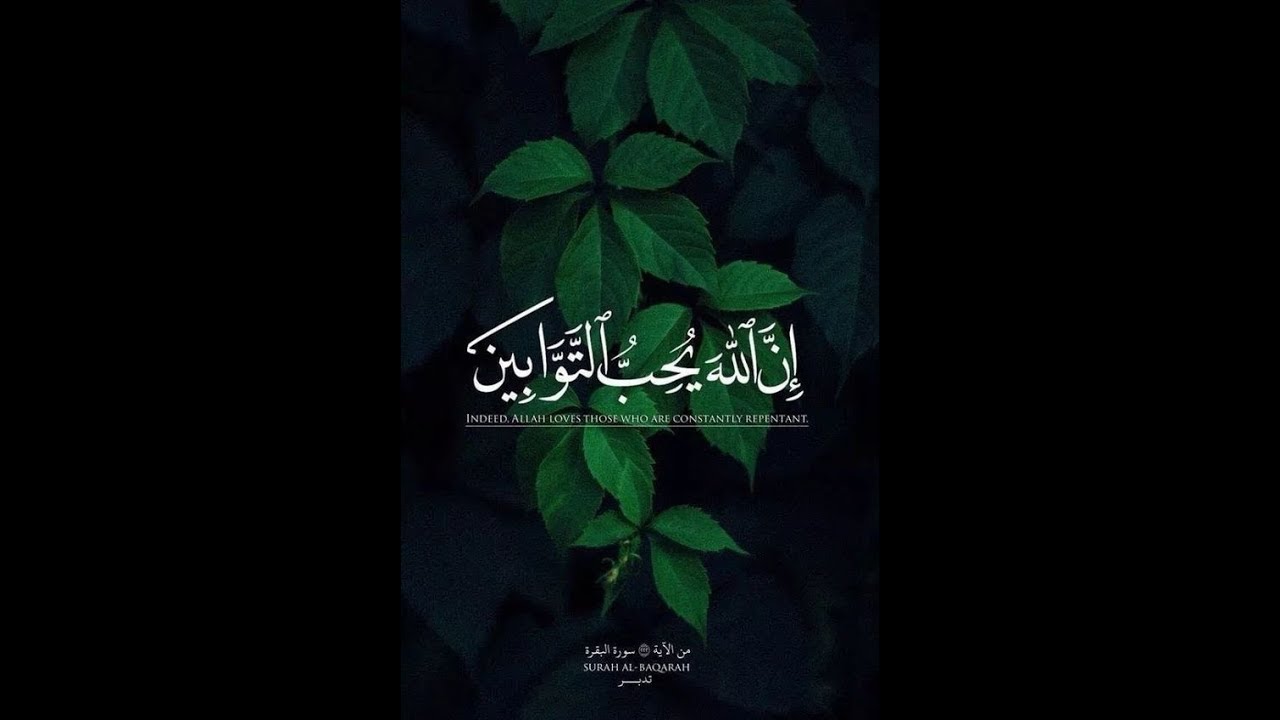 روائع الشيخ ماهر المعيقلي ايات السكينة و الطمانينة