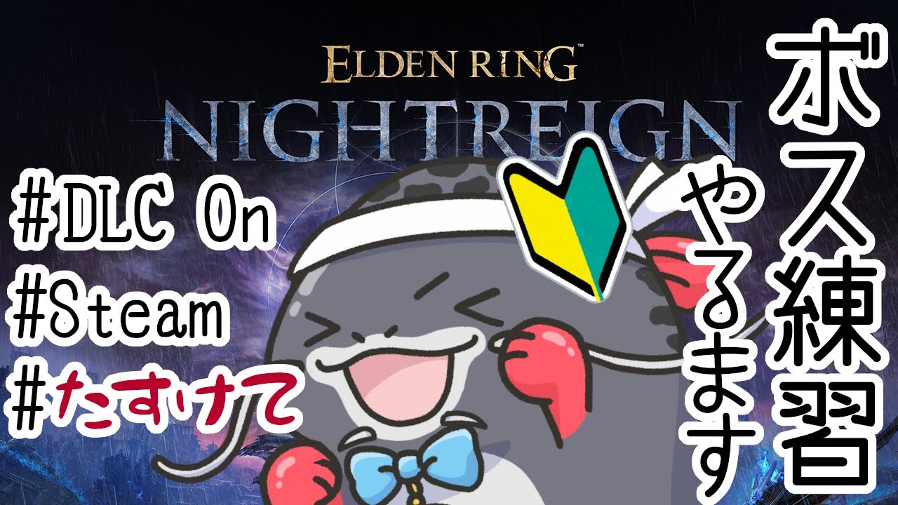 【#ナイトレイン 】今から始めるDLC夜型生活【理解度あげてこ編】