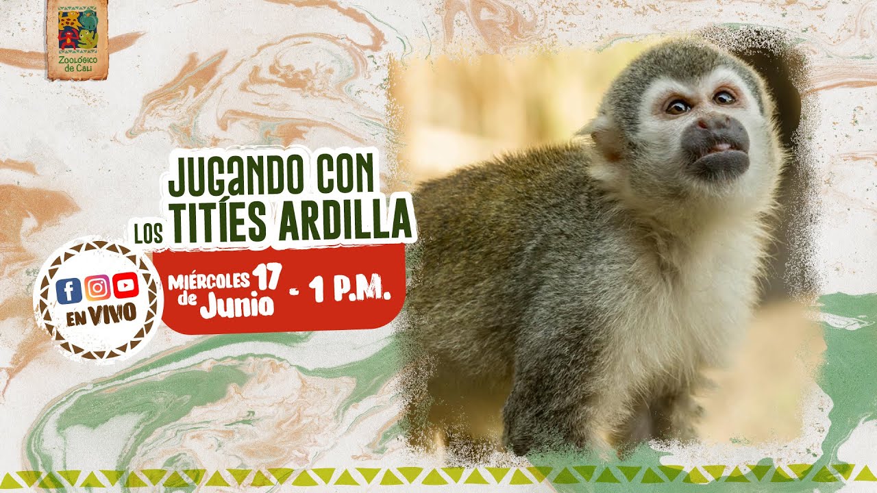 #EnVivo: Juguemos con los titíes