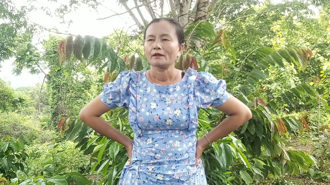 lub neej ua ntsuag ciaj ce noj li dev nyob li tsiaj vwj hawj tu hai 9 6  2023
