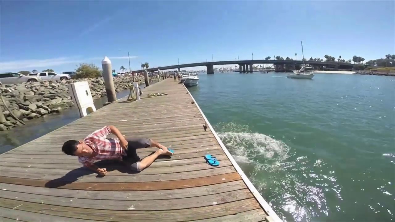 Seal ATTACKS Man
