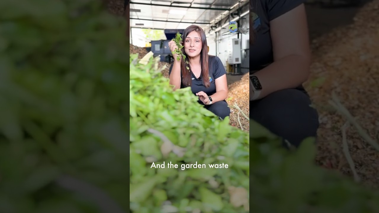 Why this area in Bengaluru, India is cleaner than the rest of the city  - Electronics City