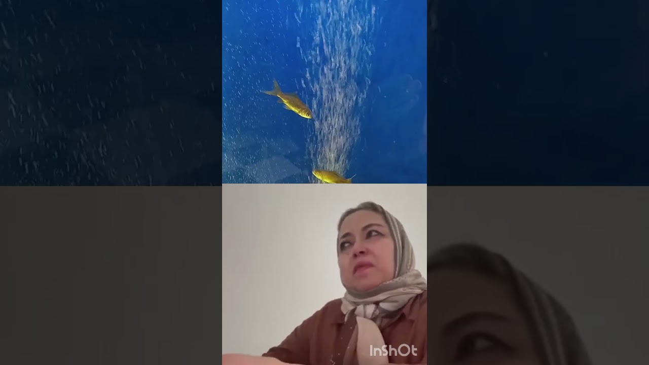 مسكينه😭😭😲🤲