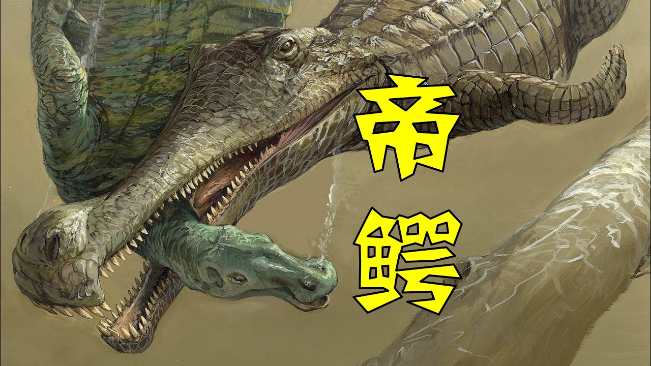 与棘龙同行的巨鳄，最大鳄类的有利竞争者：帝鳄（Sarcosuchus）