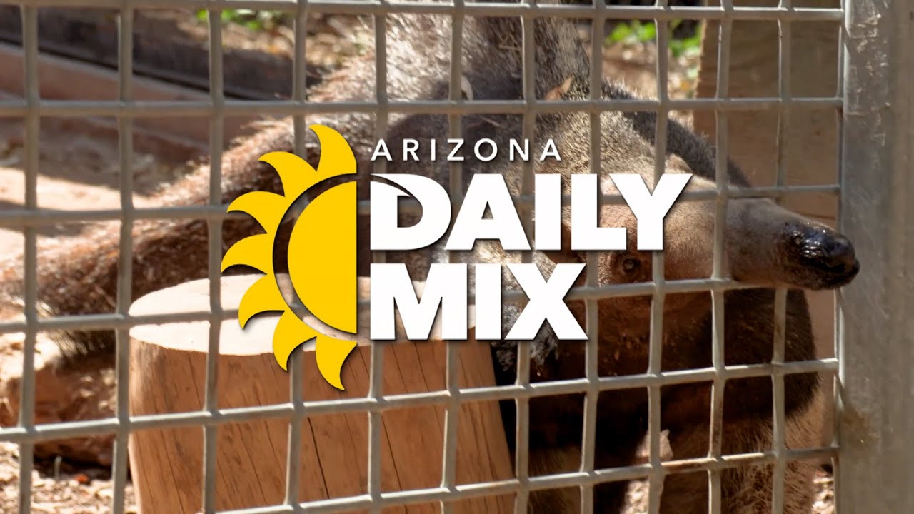 Arizona Daily Mix | August 27, 2025 Episode