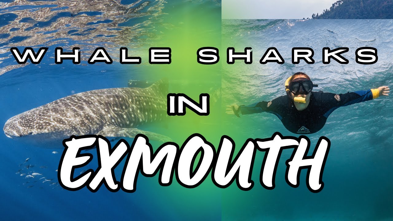 EXMOUTH W.A. | The ultimate bucket list destination!