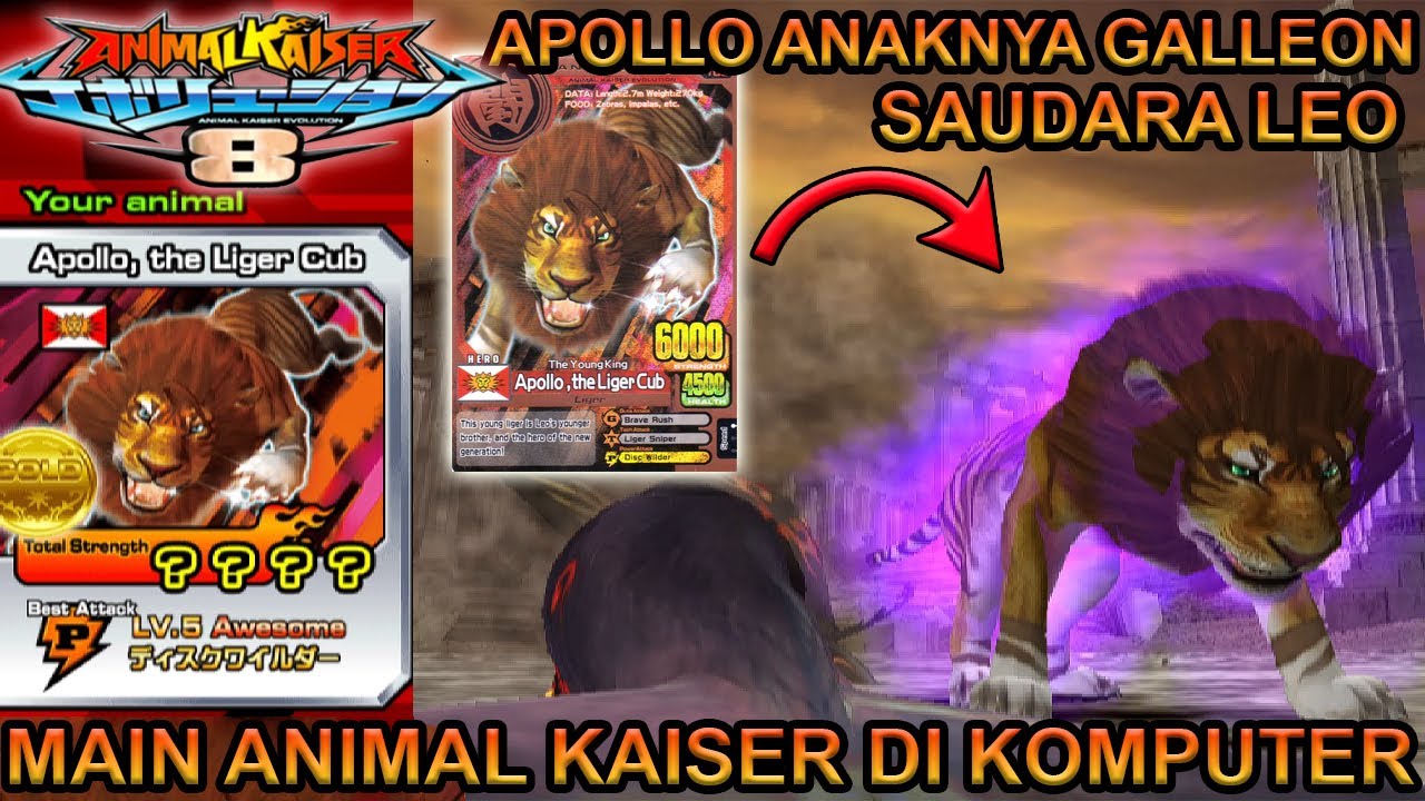 NYOBAIN APOLLO SAUDARA LEO ANIMAL KAISER DI KOMPUTER !!! - ANIMAL KAISER EVOLUTION PC