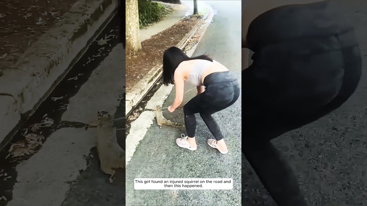 This girl found an injured squirrel on the road and then this happened. ..#animals #pets #petlover