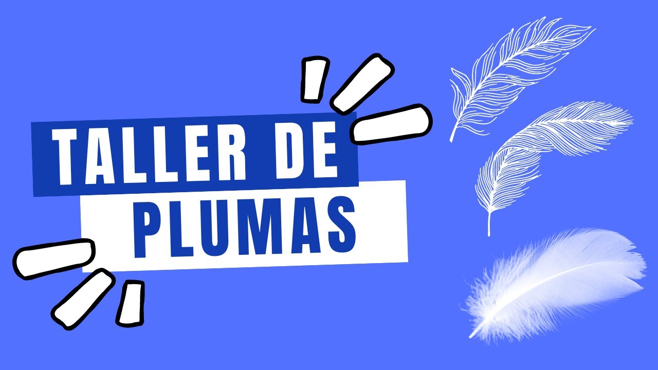 Plumas de aves: de que están formadas, para que sirven y tipos  - Centro Campillo
