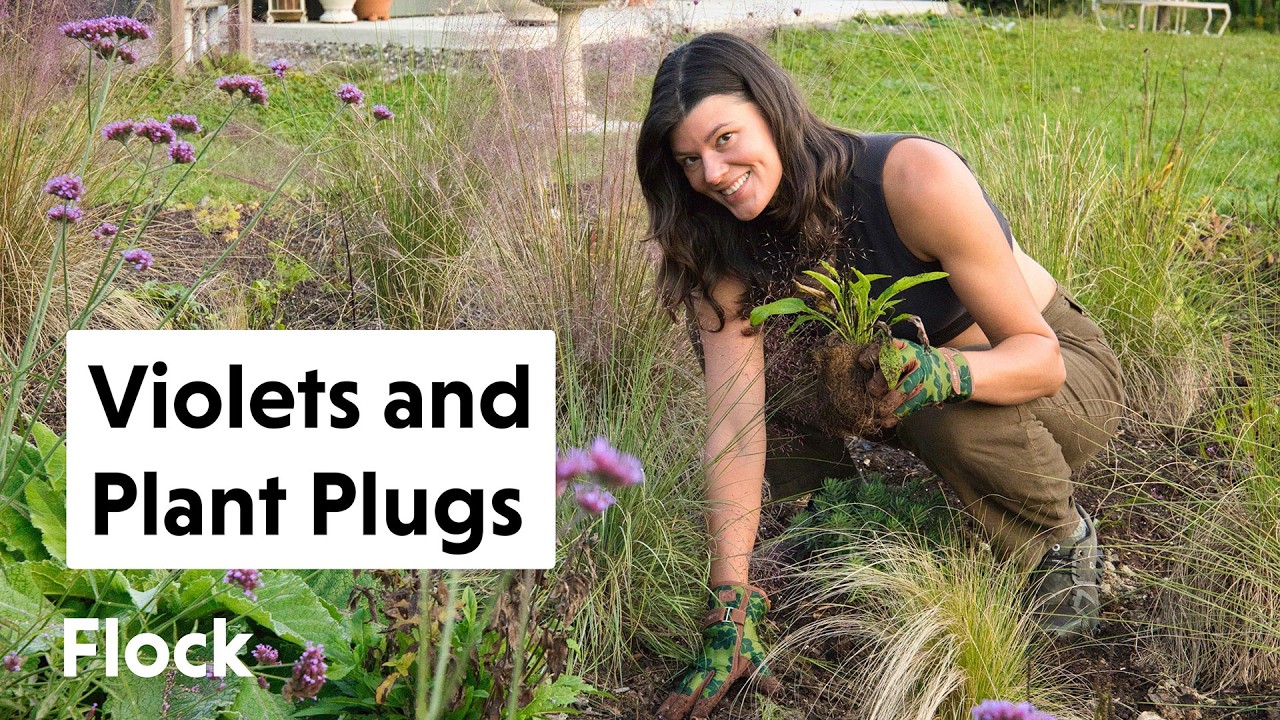 SEEDS & PLANT PLUGS in the Meadow House Gardens — Ep. 277
