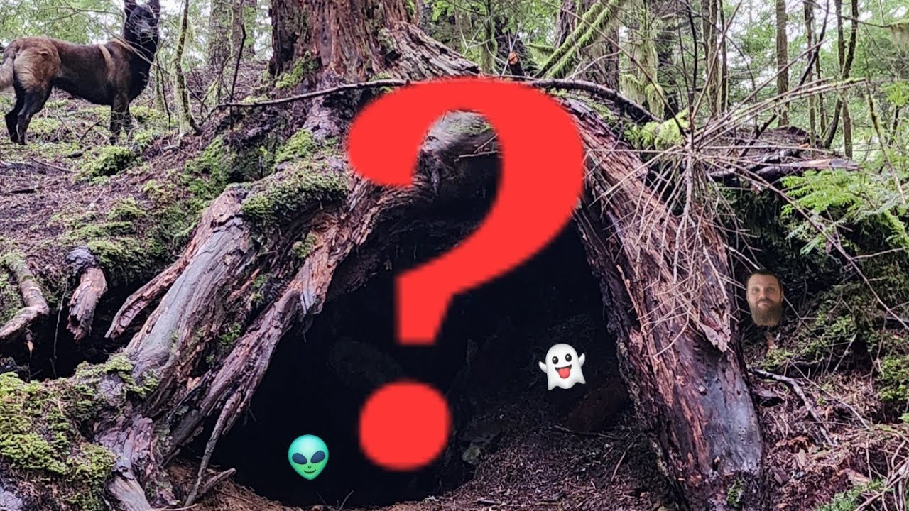 Camping in a Cave? Or not? 