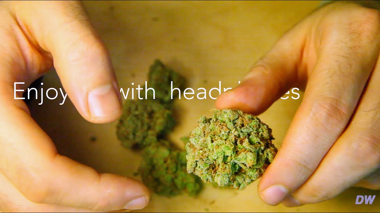 3 MINUTES OF BREAKING HUGE BUDS | ASMR WEED