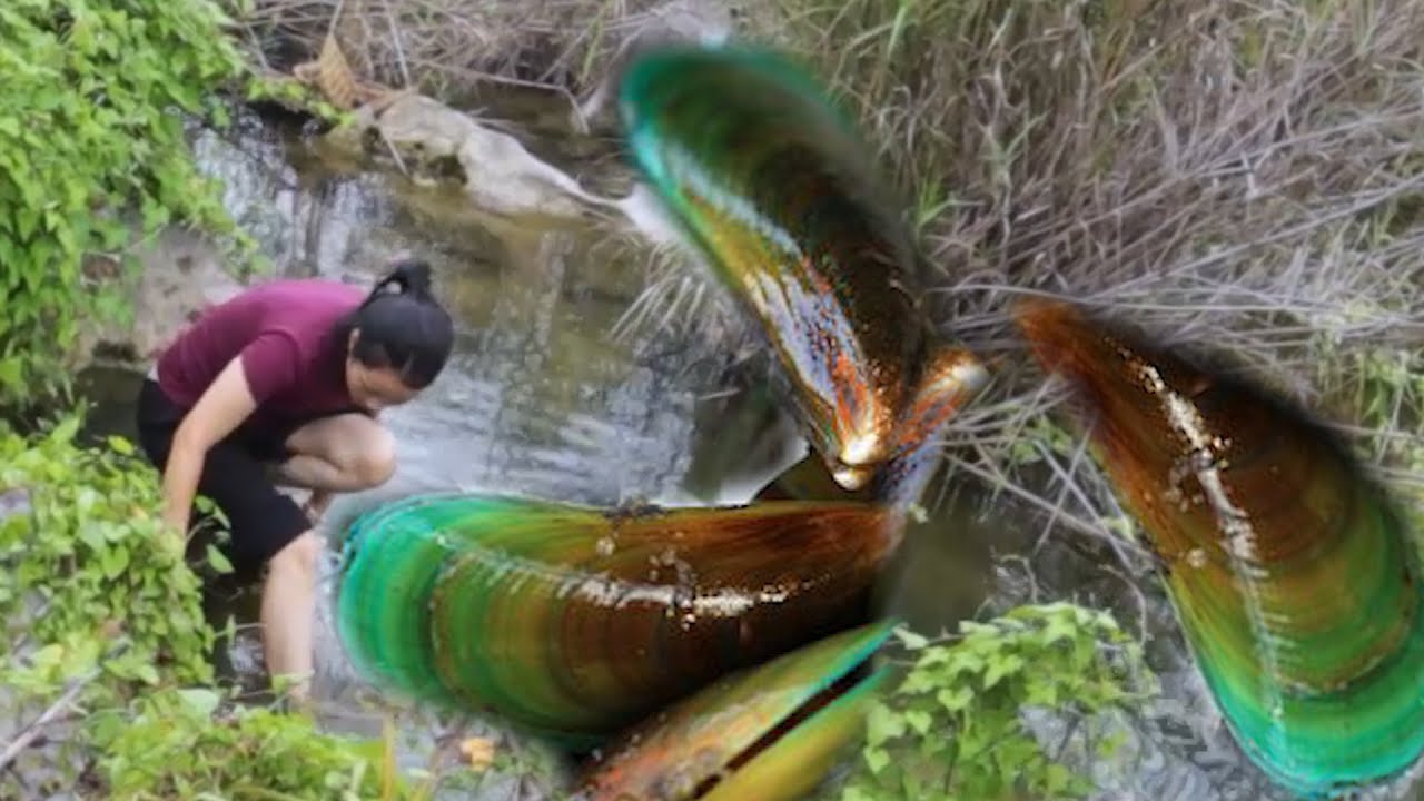 🔥🔥  The girl took out the oversized green beads from the pearl clam! Even rarer than jade