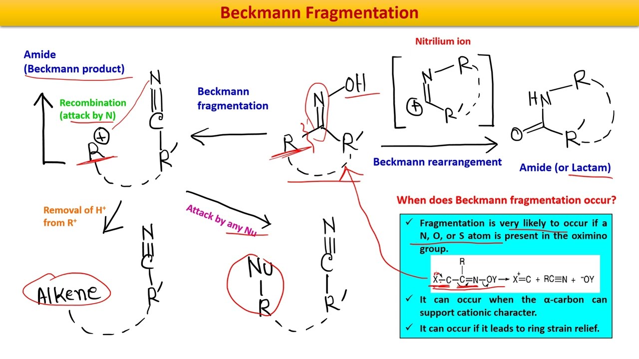 Beckmann Fragmentation | Abnormal Beckmann | Examples | Named reactions | IIT-JAM, GATE, CSIR-NET