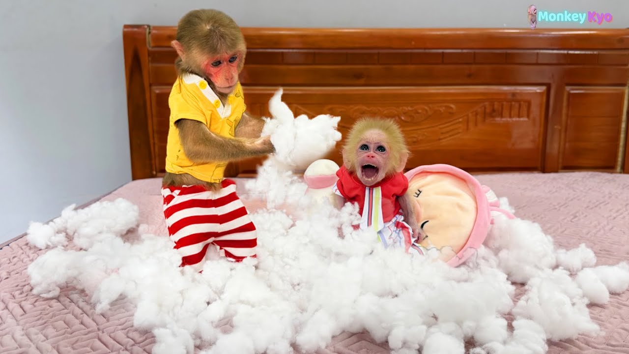 So Funny! Kyo makes a huge mess in the room — But Dad Has no Idea! 😂