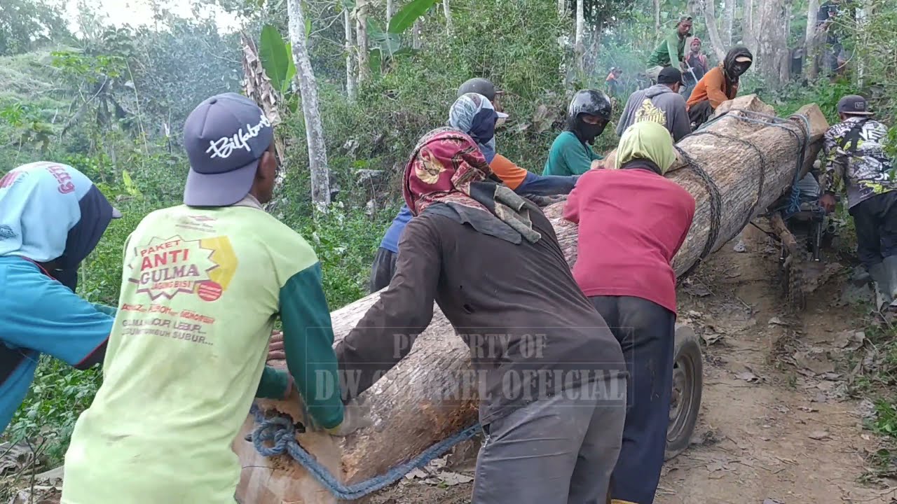 Ojek Palang Kayu Jati Blitar (GOPAL)Paling ekstrim di dunia