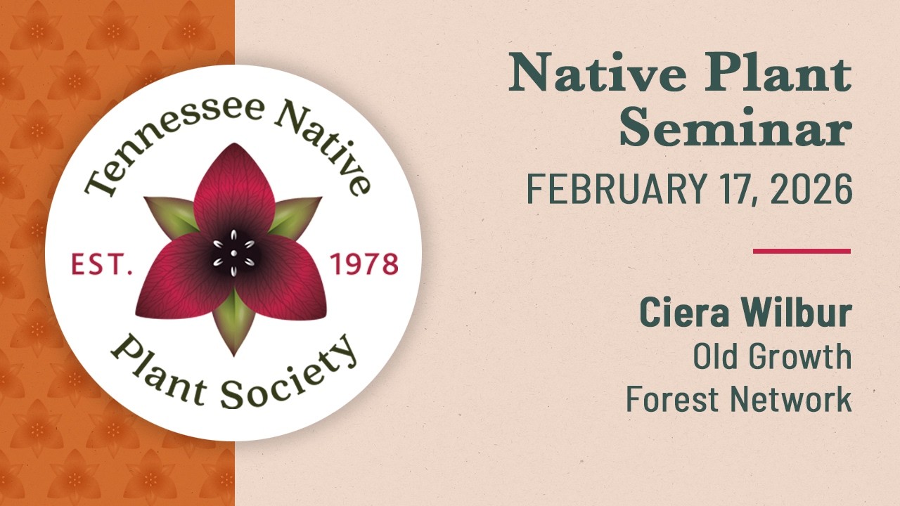 2026 TNPS Seminar: Ciera Wilbur, 02-17-26