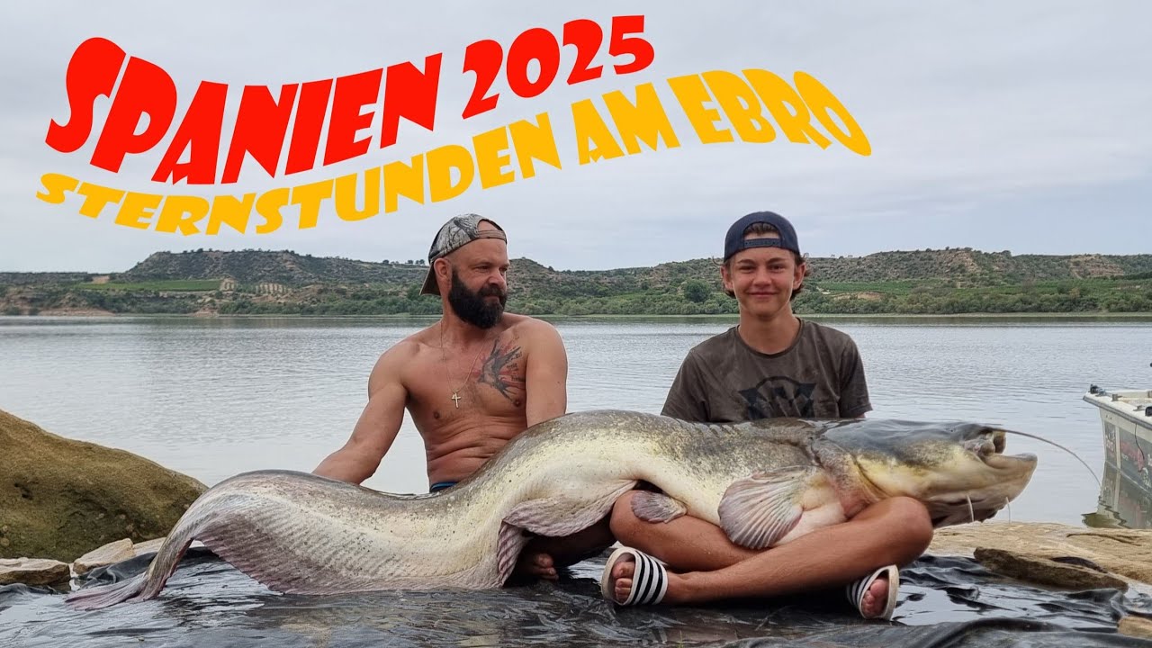 Mit Pellets auf Waller am Ebro in Spanien 2025 Wels