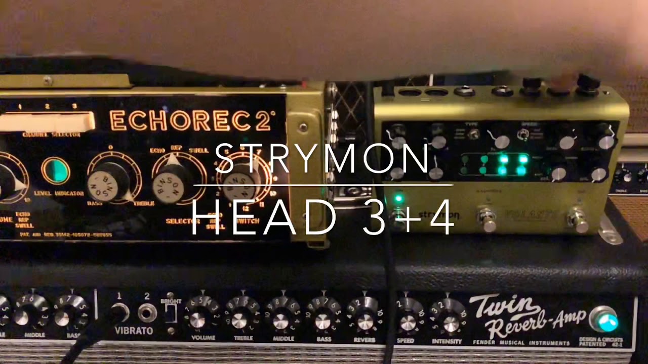 Strymon volante VS Binson Echorec2 T7E