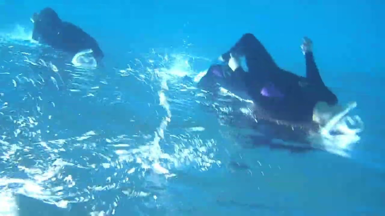SOKODOMAIAHI