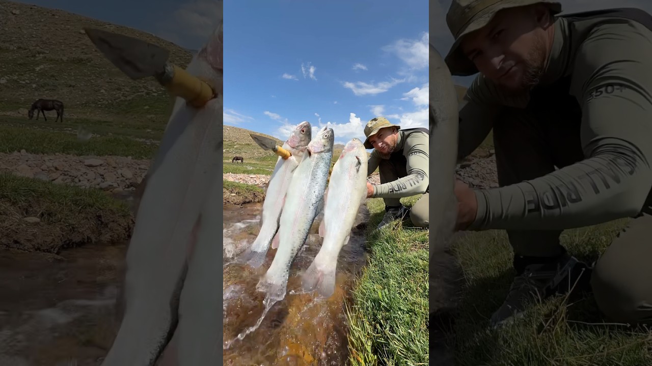 Trout. Mountains. Camper van. Real men&rsquo;s getaway🔥 #food #cooking #mountains #camping