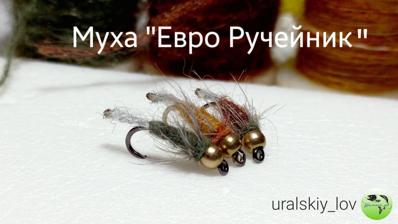 Муха 